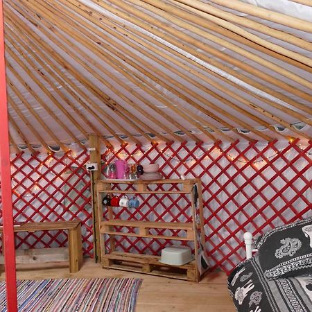 Alder Yurt Wych Elm Glamping Hotel Хелстън Екстериор снимка