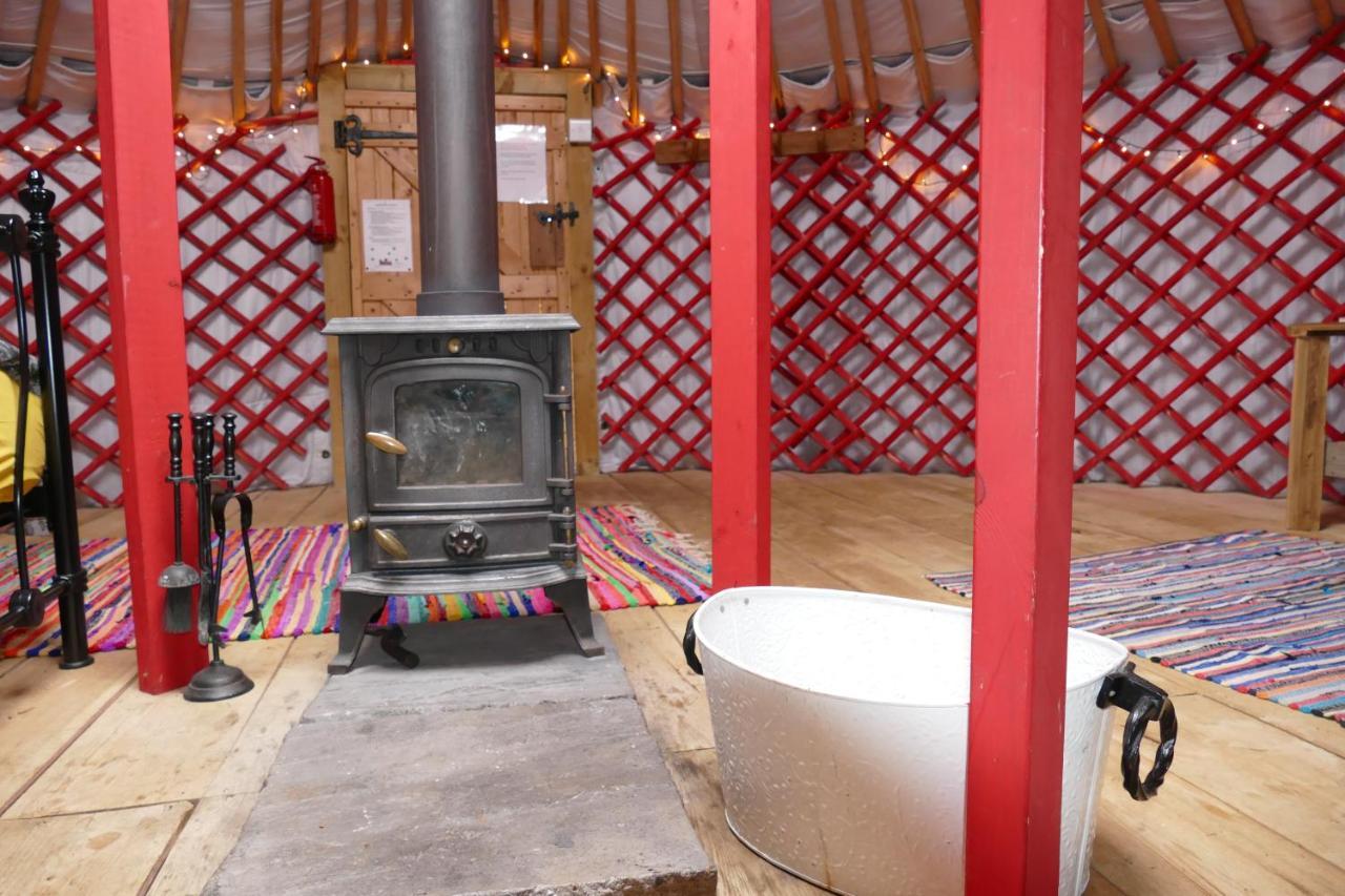 Alder Yurt Wych Elm Glamping Hotel Хелстън Екстериор снимка