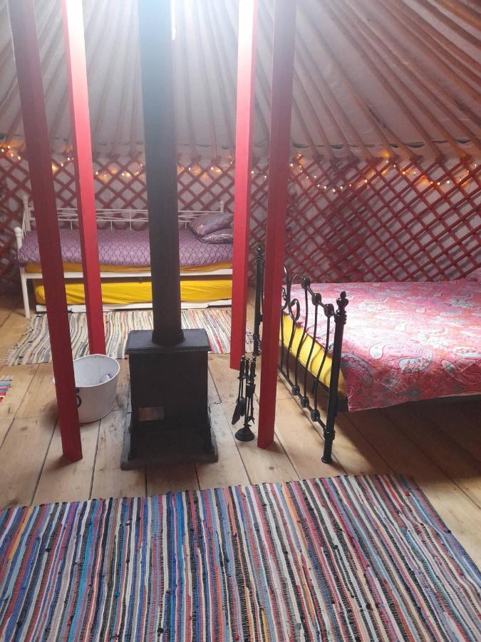 Alder Yurt Wych Elm Glamping Hotel Хелстън Екстериор снимка