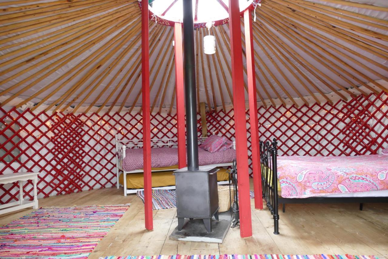 Alder Yurt Wych Elm Glamping Hotel Хелстън Екстериор снимка