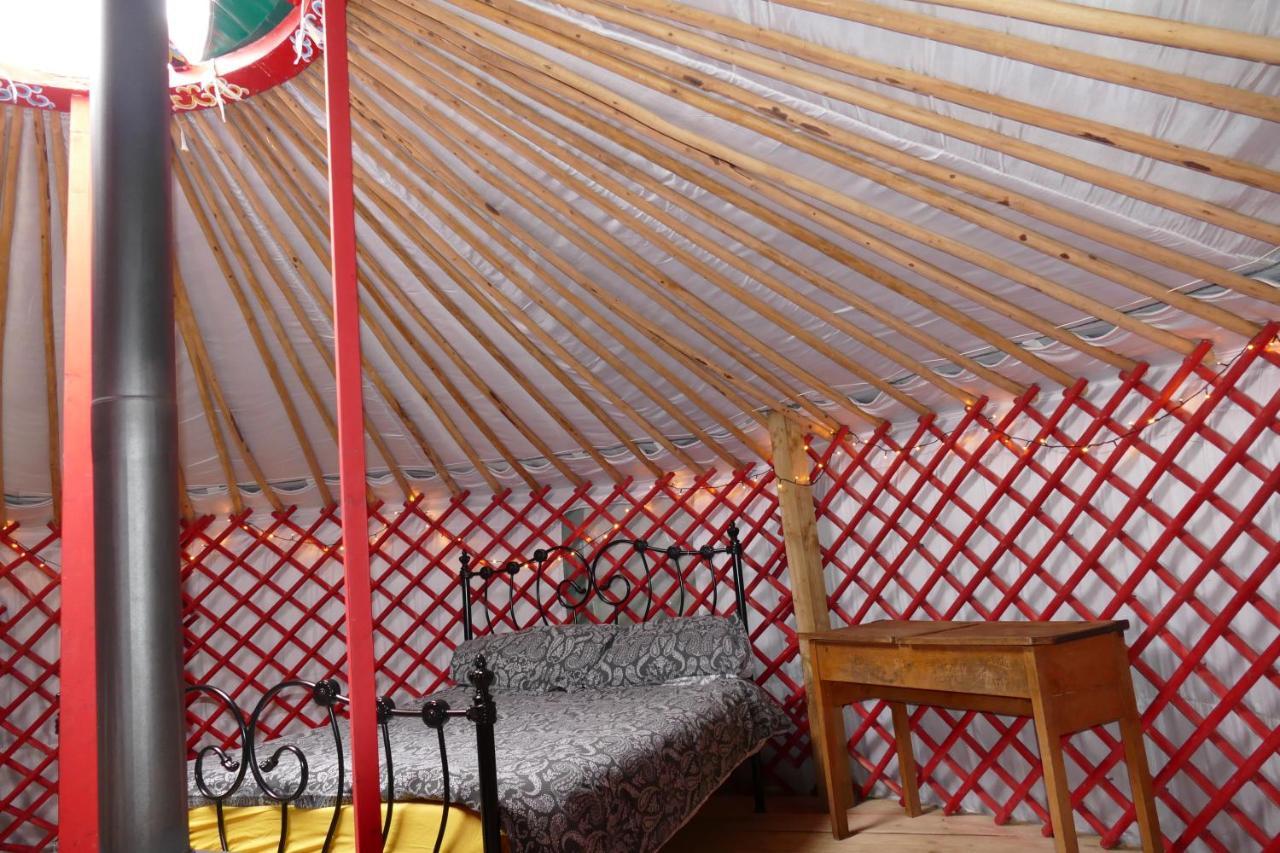 Alder Yurt Wych Elm Glamping Hotel Хелстън Екстериор снимка