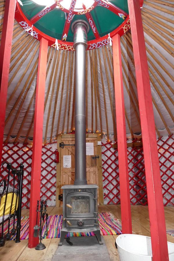 Alder Yurt Wych Elm Glamping Hotel Хелстън Екстериор снимка